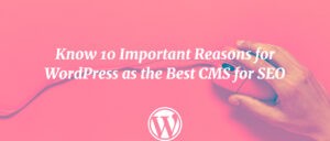 Know 10 Important Reasons for WordPress as the Best CMS for SEO